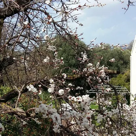 Gerendaház Margarita's Attic-the Loft