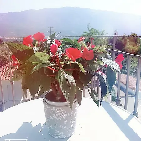 Margarita's Attic-the Loft Lodge Spartià